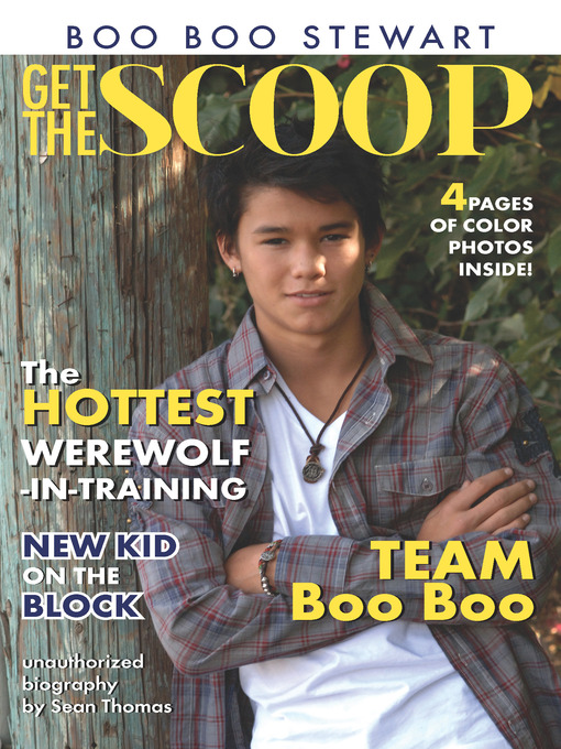 Cover image for Boo Boo Stewart